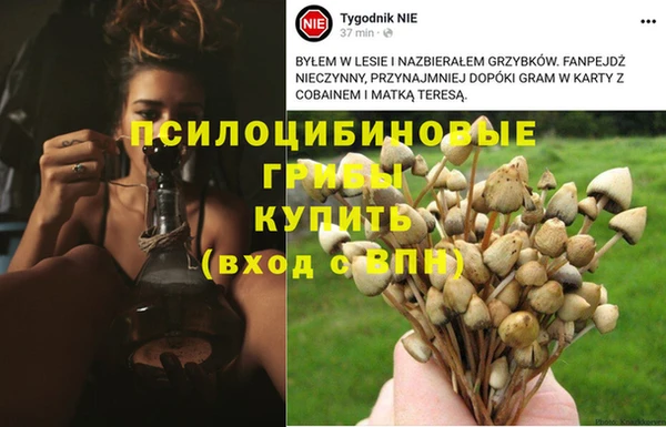 марихуана Балахна